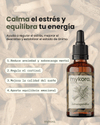Ashwagandha - Calma y equilibrio diario