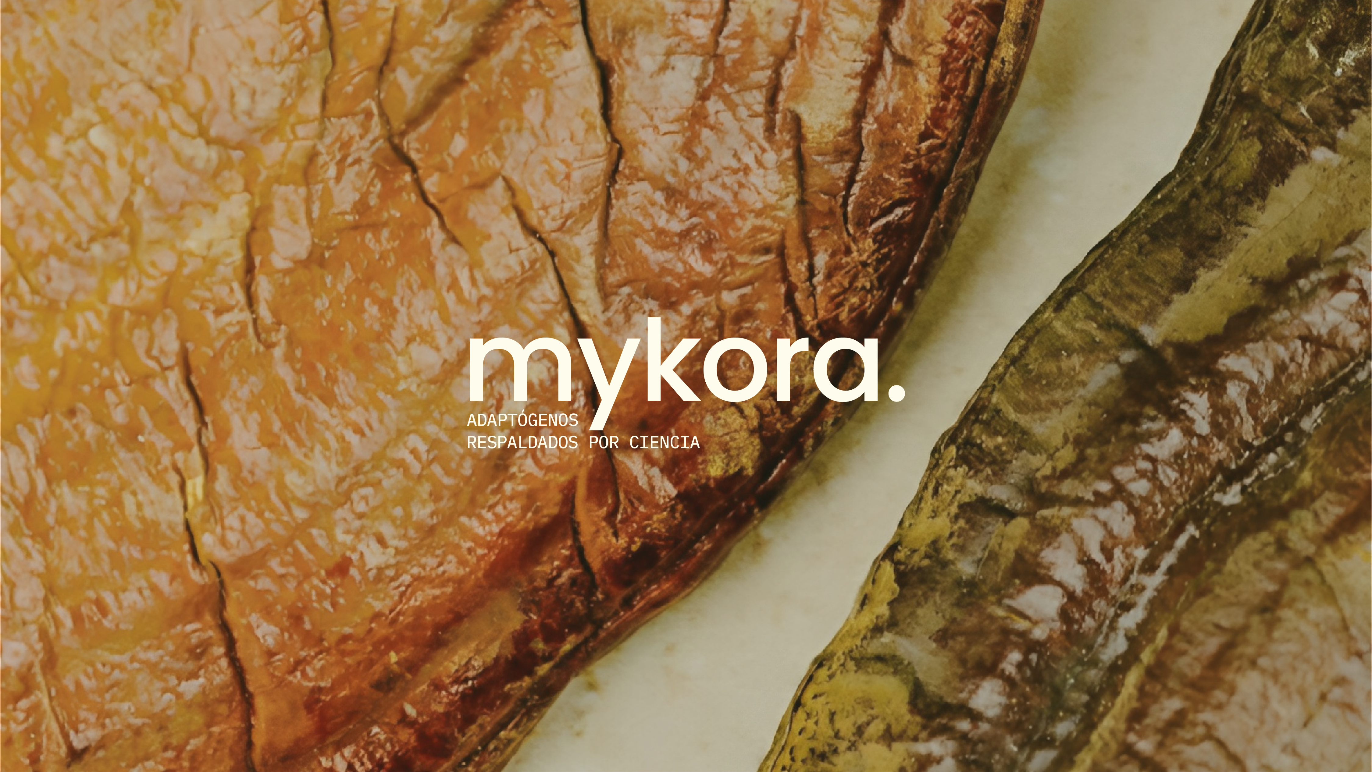 Banner Mobile