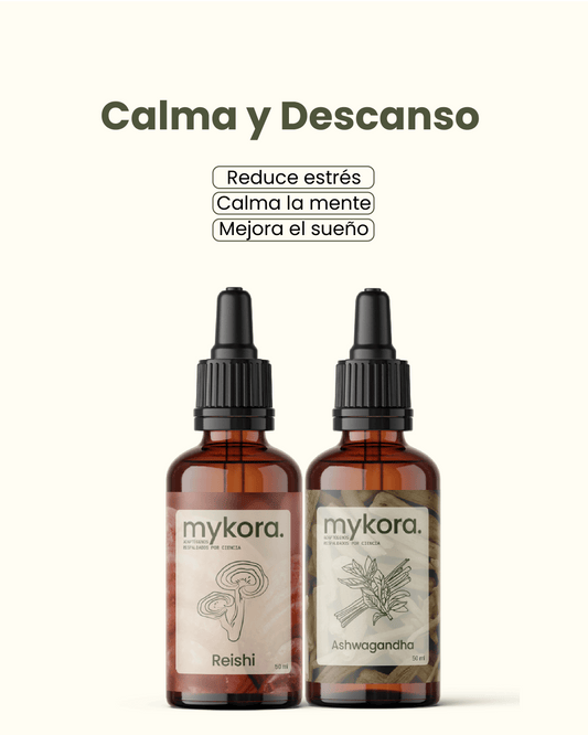 🧘‍♂️ Pack Calma & Descanso