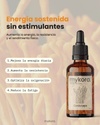 Cordyceps - Energía y rendimiento natural
