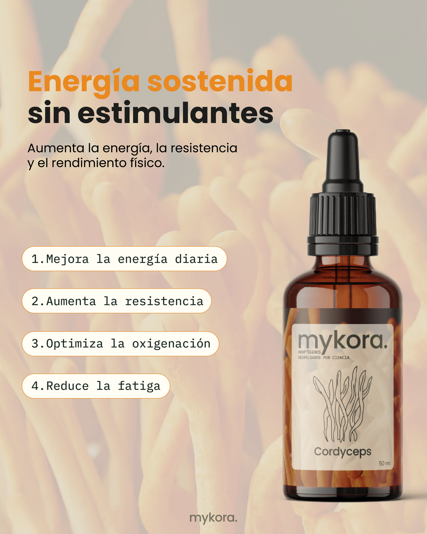 Cordyceps - Energía y rendimiento natural