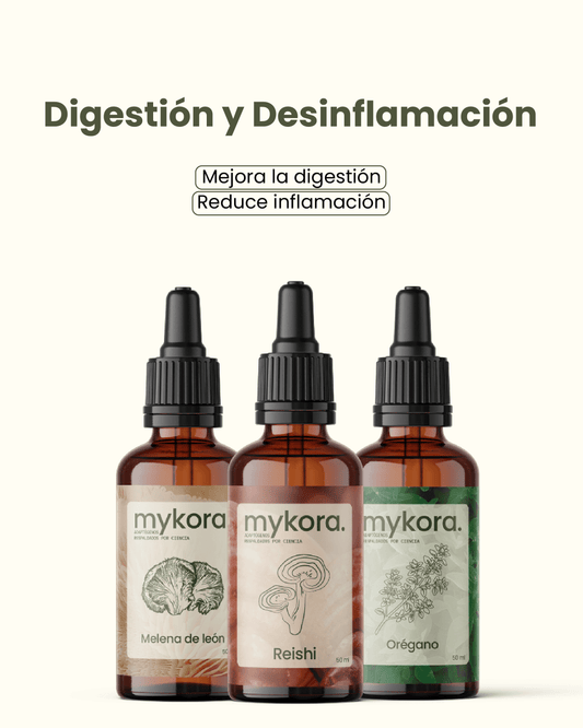✨  Pack Digestión & Desinflamación