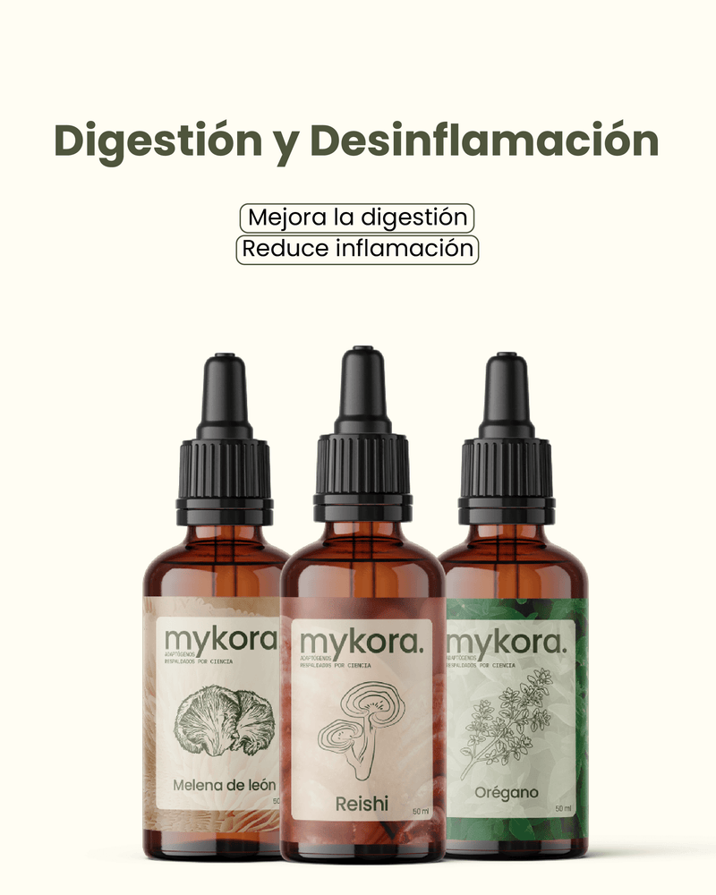 ✨  Pack Digestión & Desinflamación