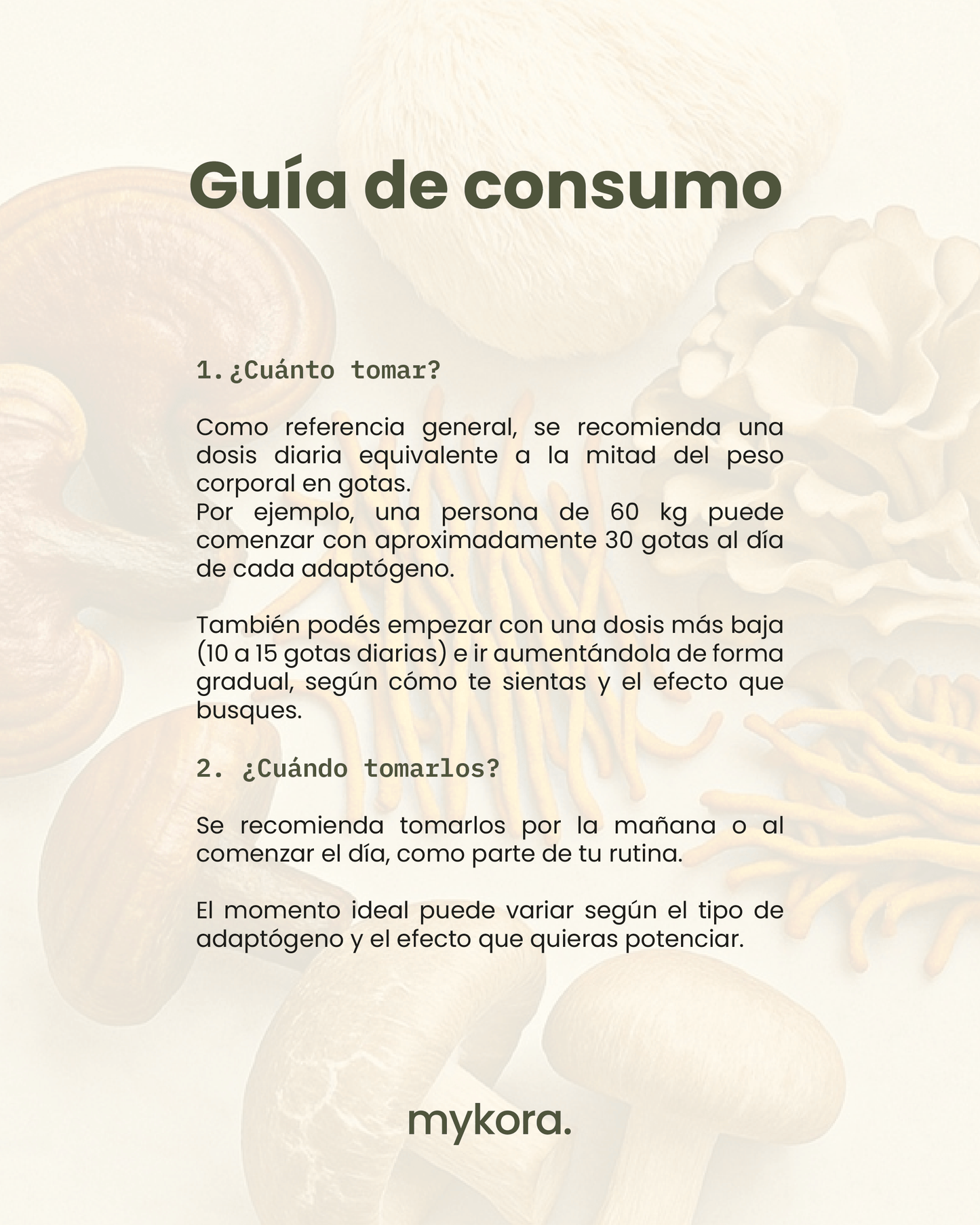 🧠 Pack Enfoque & Claridad