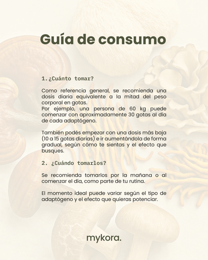 🧠 Pack Enfoque & Claridad