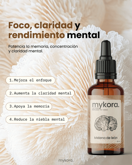 Melena de León - Claridad mental y concentración