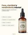 Tintura Madre Melena de Leon - Claridad mental y concentracion