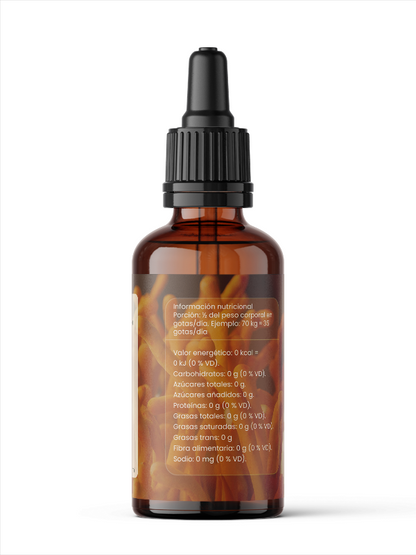 Cordyceps - Energía y rendimiento natural