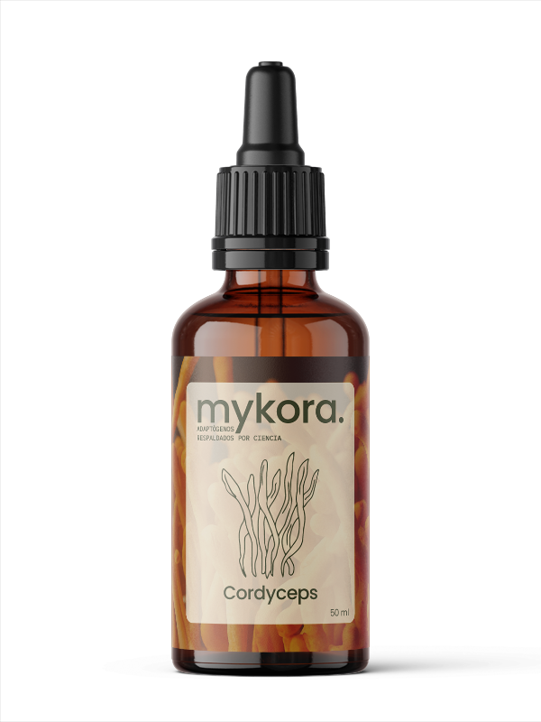Cordyceps - Energía y rendimiento natural