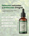 Oregano - Defensas y equilibrio digestivo
