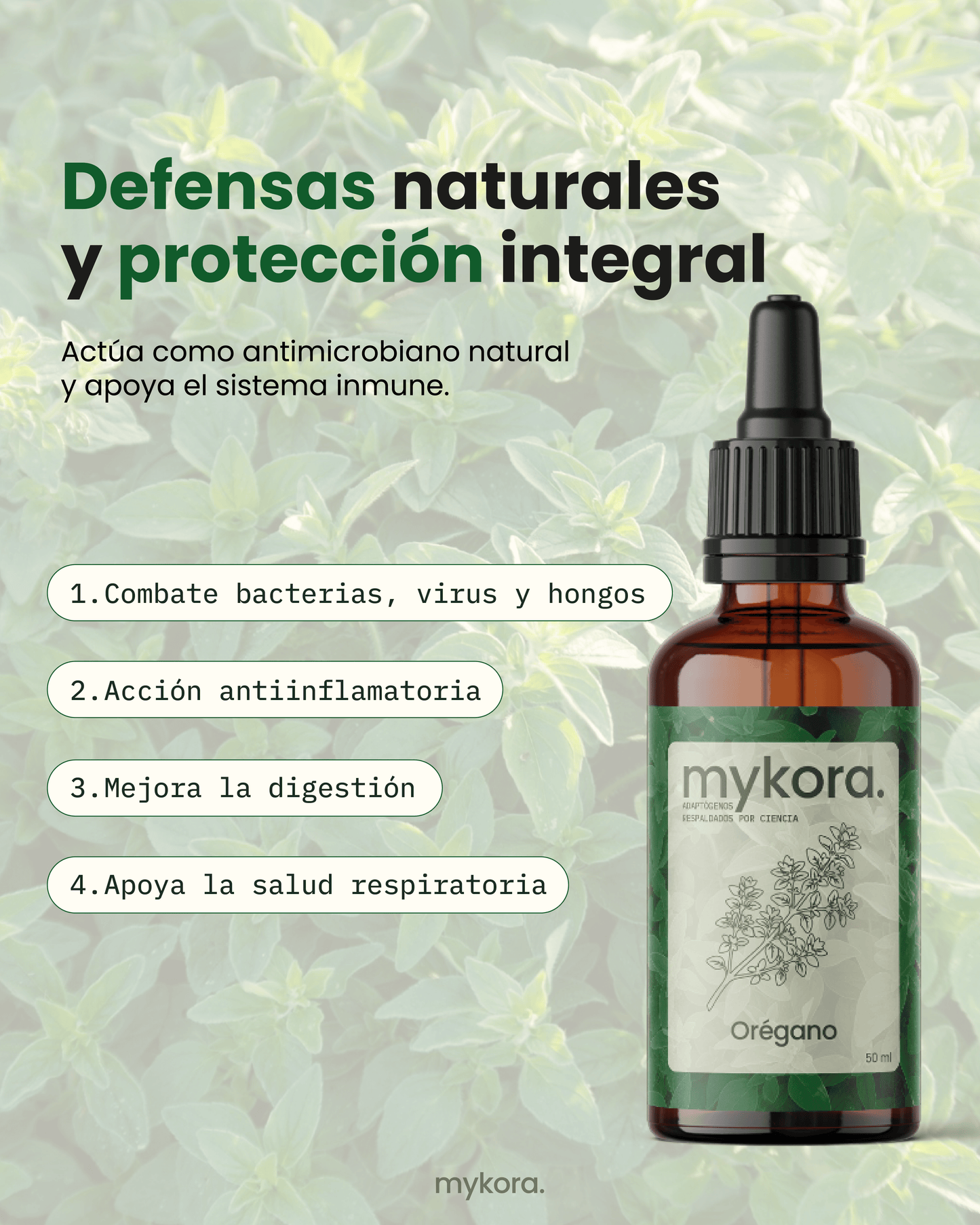 Oregano - Defensas y equilibrio digestivo