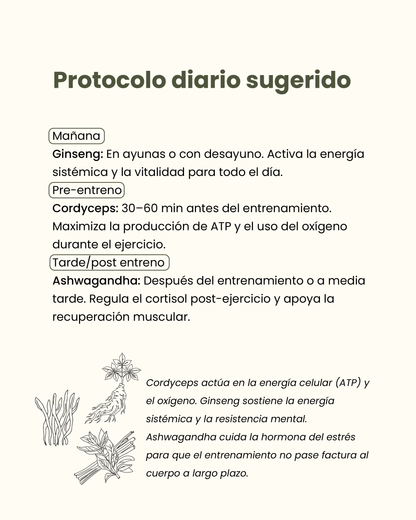 ⚡ Pack Energía & Rendimiento