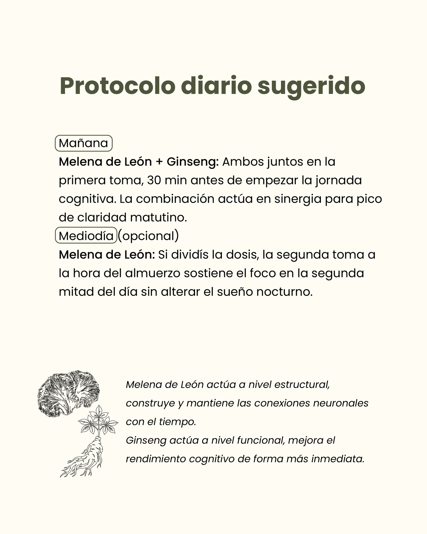 🧠 Pack Enfoque & Claridad