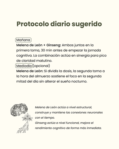 🧠 Pack Enfoque & Claridad