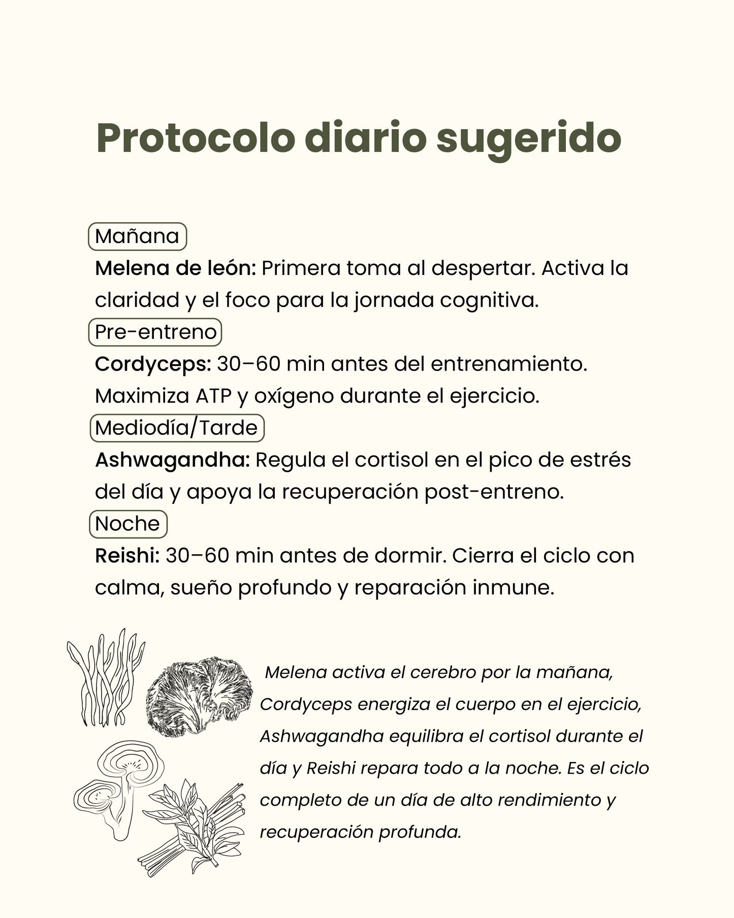 🌱 Pack Equilibrio Total
