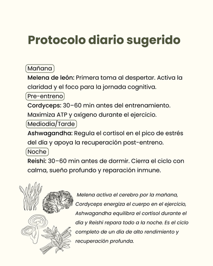 🌱 Pack Equilibrio Total