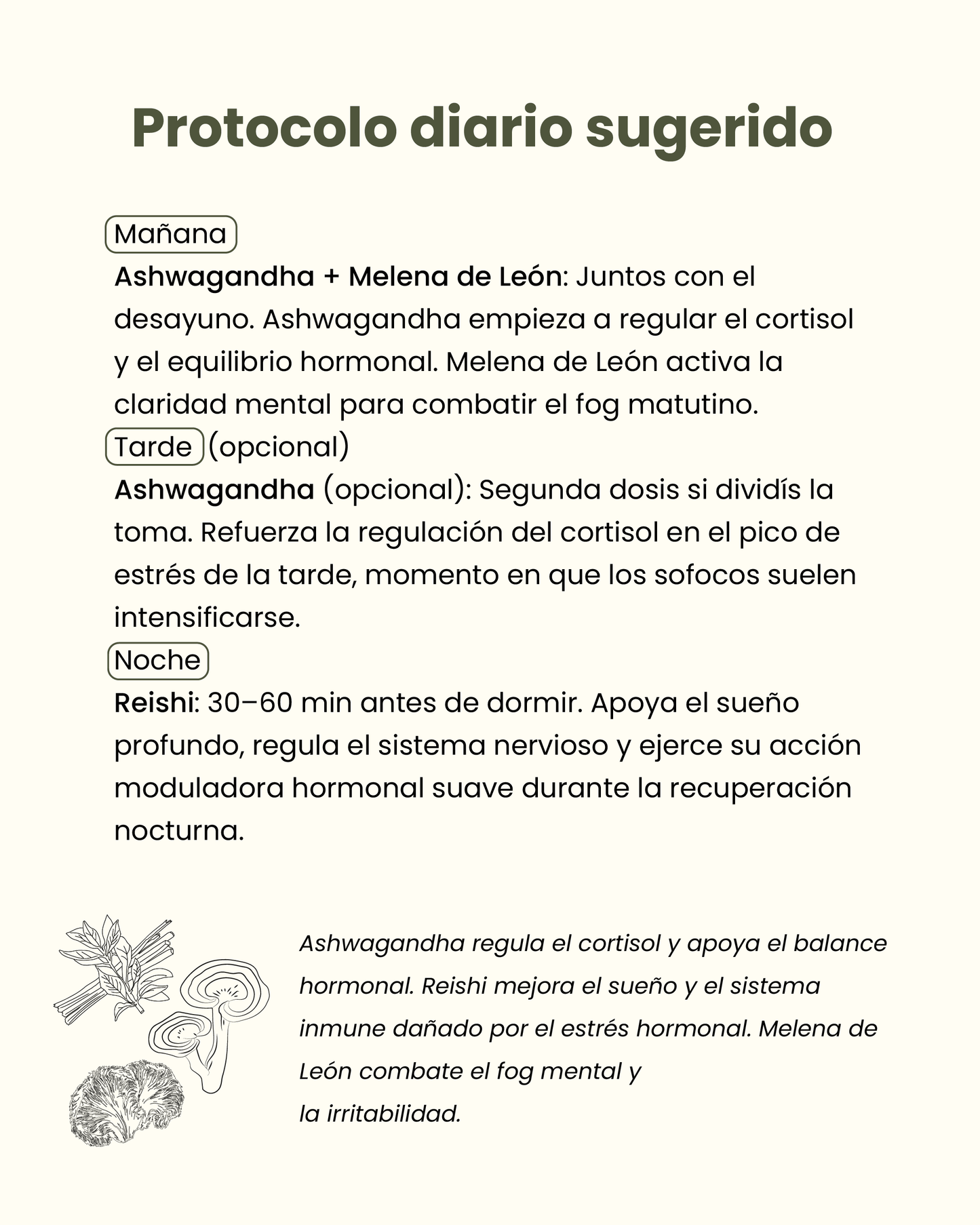 🌸 Pack Equilibrio Hormonal (Menopausia)