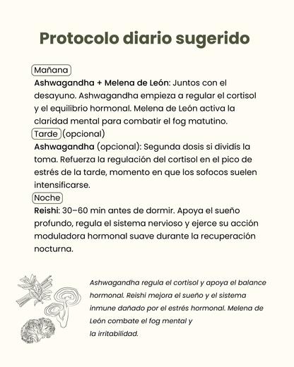 🌸 Pack Equilibrio Hormonal (Menopausia)