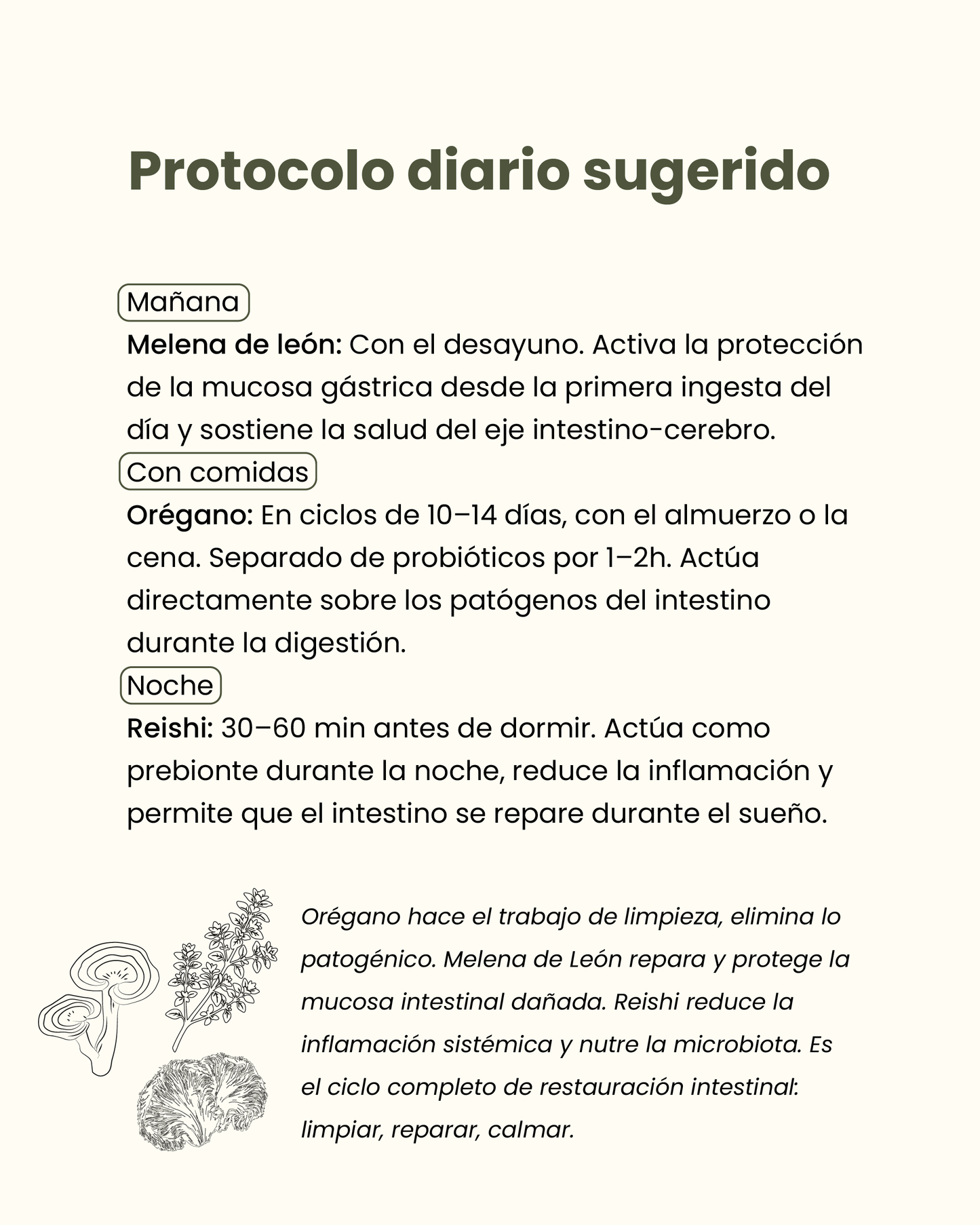 ✨  Pack Digestión & Desinflamación