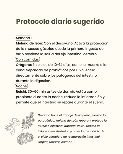 ✨  Pack Digestión & Desinflamación