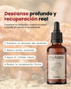 Reishi - Descanso profundo y recuperación